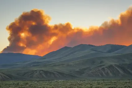 El Supremo rechaza la suspensión cautelarísima solicitada por el ICAM por los incendios