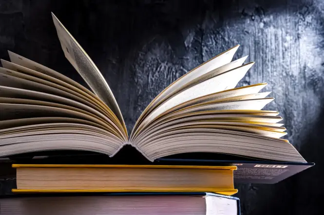 ALOIP. El Libro Registro de Socios, el modelo alemán que salvaría a las empresas del infierno burocrático