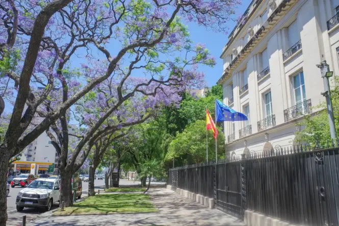 El Supremo abre una pieza cautelar sobre las altas en el censo vinculadas a la ‘ley de nietos’