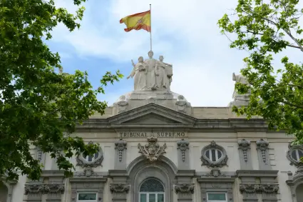 ALOIP. Inconstitucionalidad de base al vulnerar los principios de buena regulación del TS